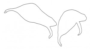 Kariong EOC - an outline of an engraving of two bird figures