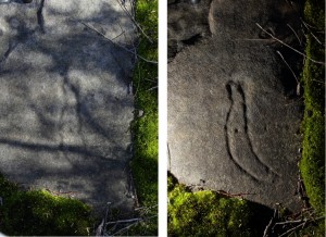 Elvina Bay Track - an engraving of a boomerang