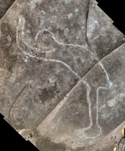 Elvina Bay Track - an engraving of Daramulum