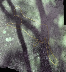 Mangrove Road South - an engraving of a large male figure