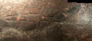 America Bay Track - an engraving of a goanna