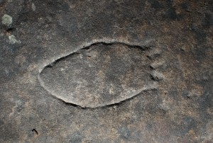 Bobbin Head Track - an engraving of a mundoe