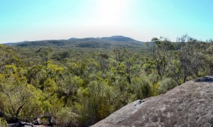 Woy Woy Road Trail - a view of Mt Kariong