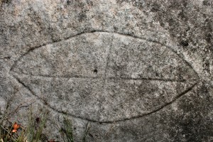 Cowan Track - an engraving of a shield