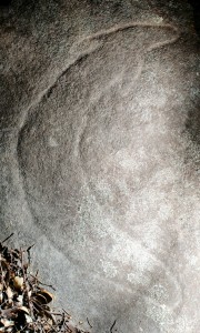 Corrumbine Creek Trail - an engraving of an eel