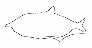 Wheeler Heights - an outline of an engraving of a shark