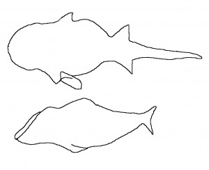 Wheeler Heights - an outline of an engraving of a shark ray and fish