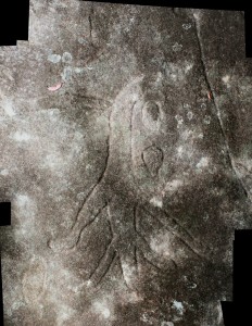 Moon Rock - an engraving of a goanna