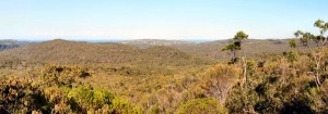 Road To No Where Track - a view across Narrabeen