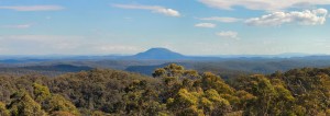 Finchley - a picture of Mt Yengo