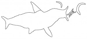 The Bluff Track - an outline of an engraving of a whale shark